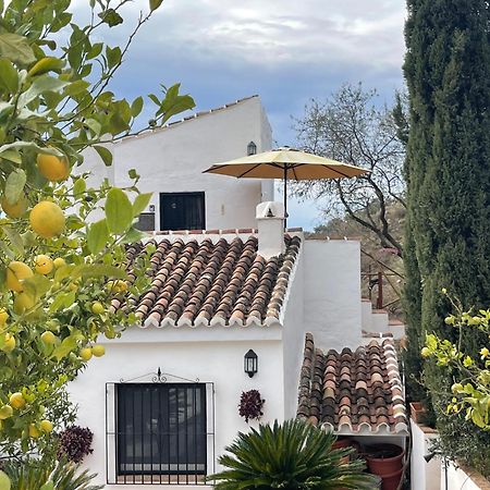 Апартаменты Casa Del Limon Канильяс-де-Асеитуно Экстерьер фото
