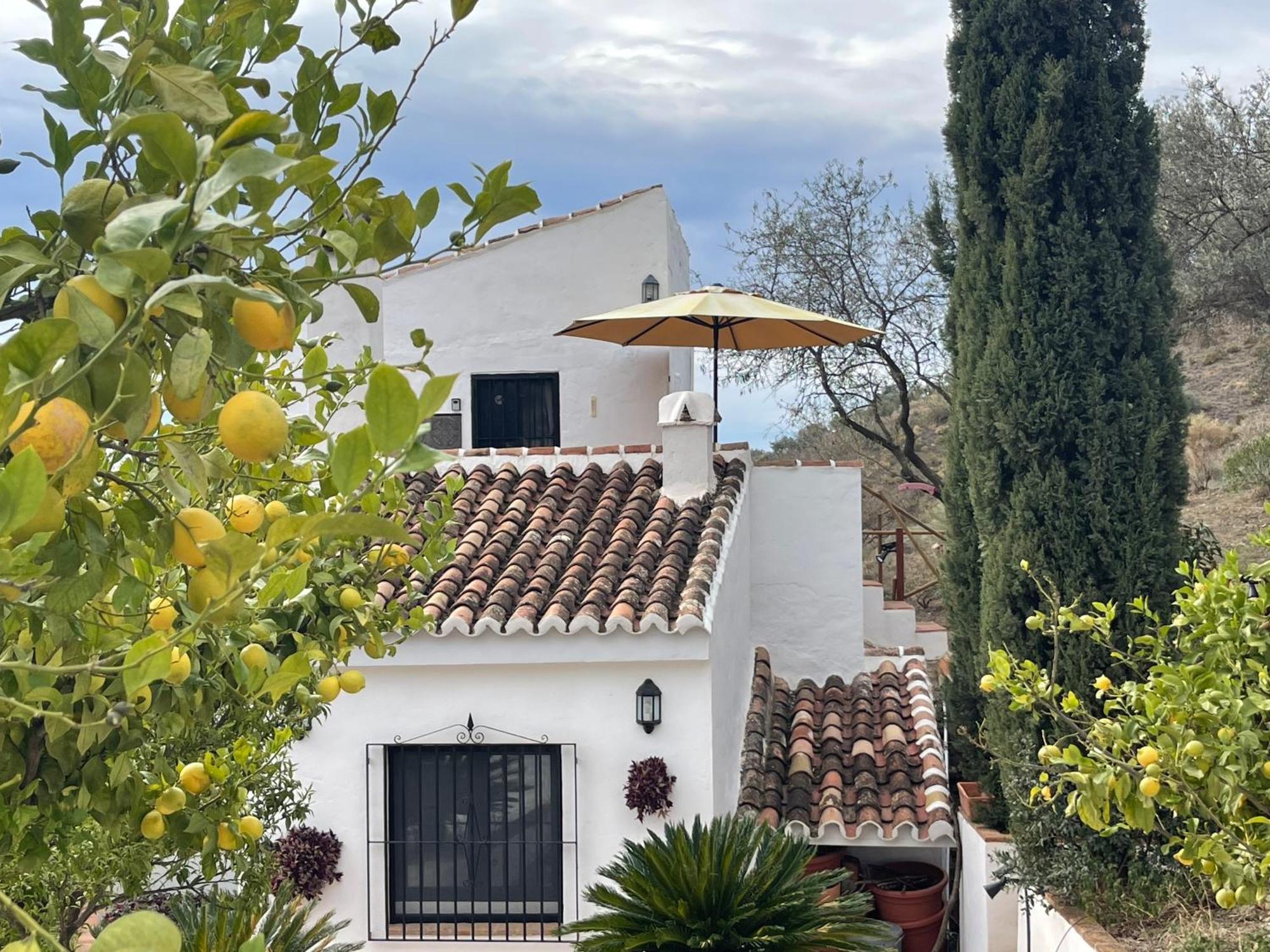 Апартаменты Casa Del Limon Канильяс-де-Асеитуно Экстерьер фото